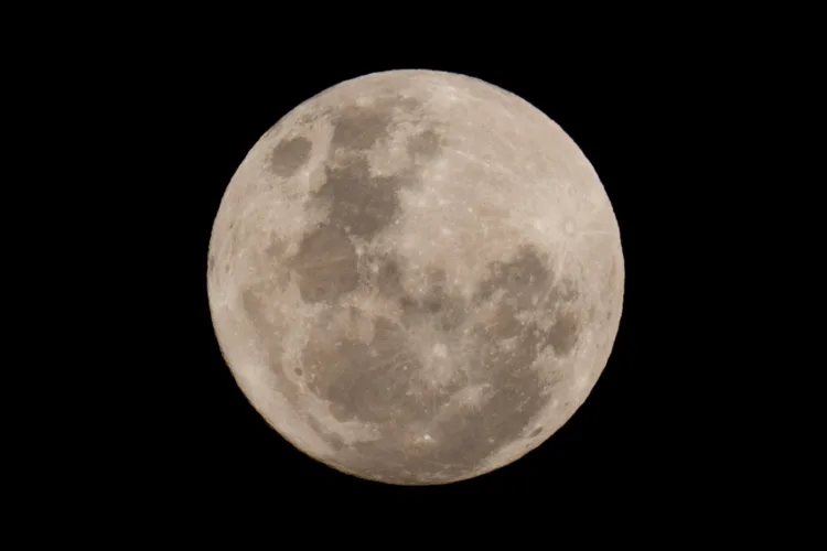 Scientists are certain a wayward SpaceX rocket slammed into the moon as predicted
